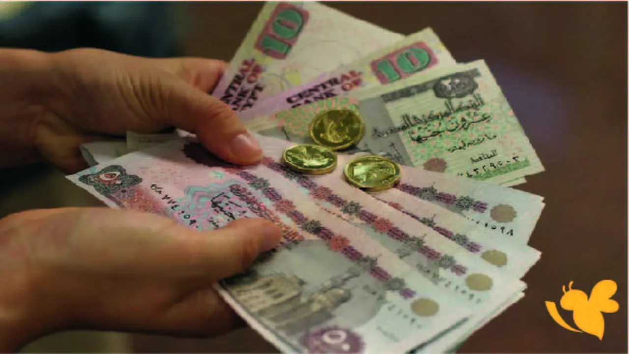 استقرار سعر صرف الدولار أمام الجنيه المصري في 18 يوليو